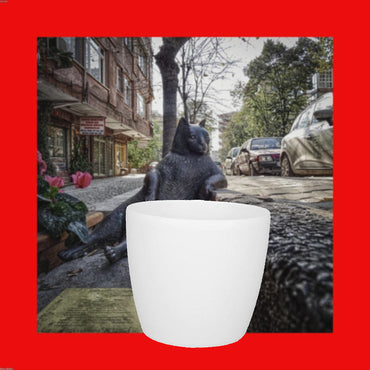 Florazo extra product image 1 for ELHO Brussels rond 25cm wit - Bloempot | Florazo