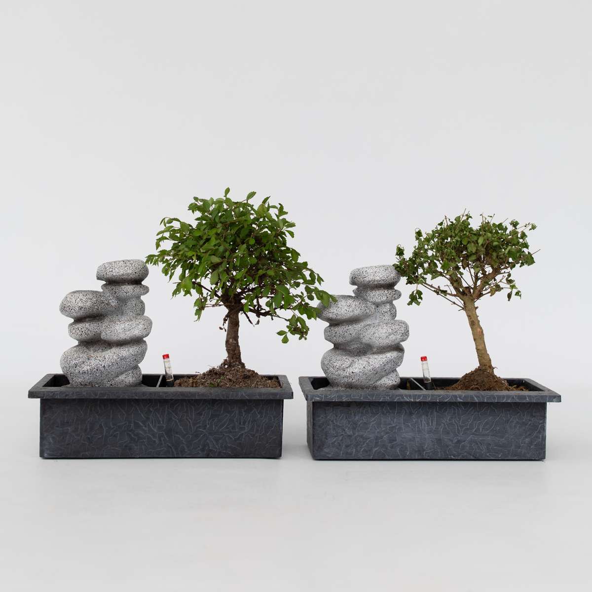 Bonsaiboom met watersysteem - 2 stuks - Zenstenen