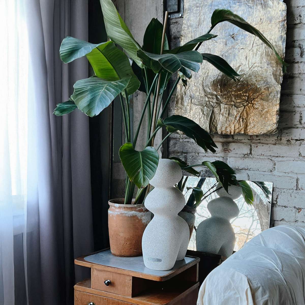 Strelitzia Nicolai - Paradijsvogelbloem - Met potgrond