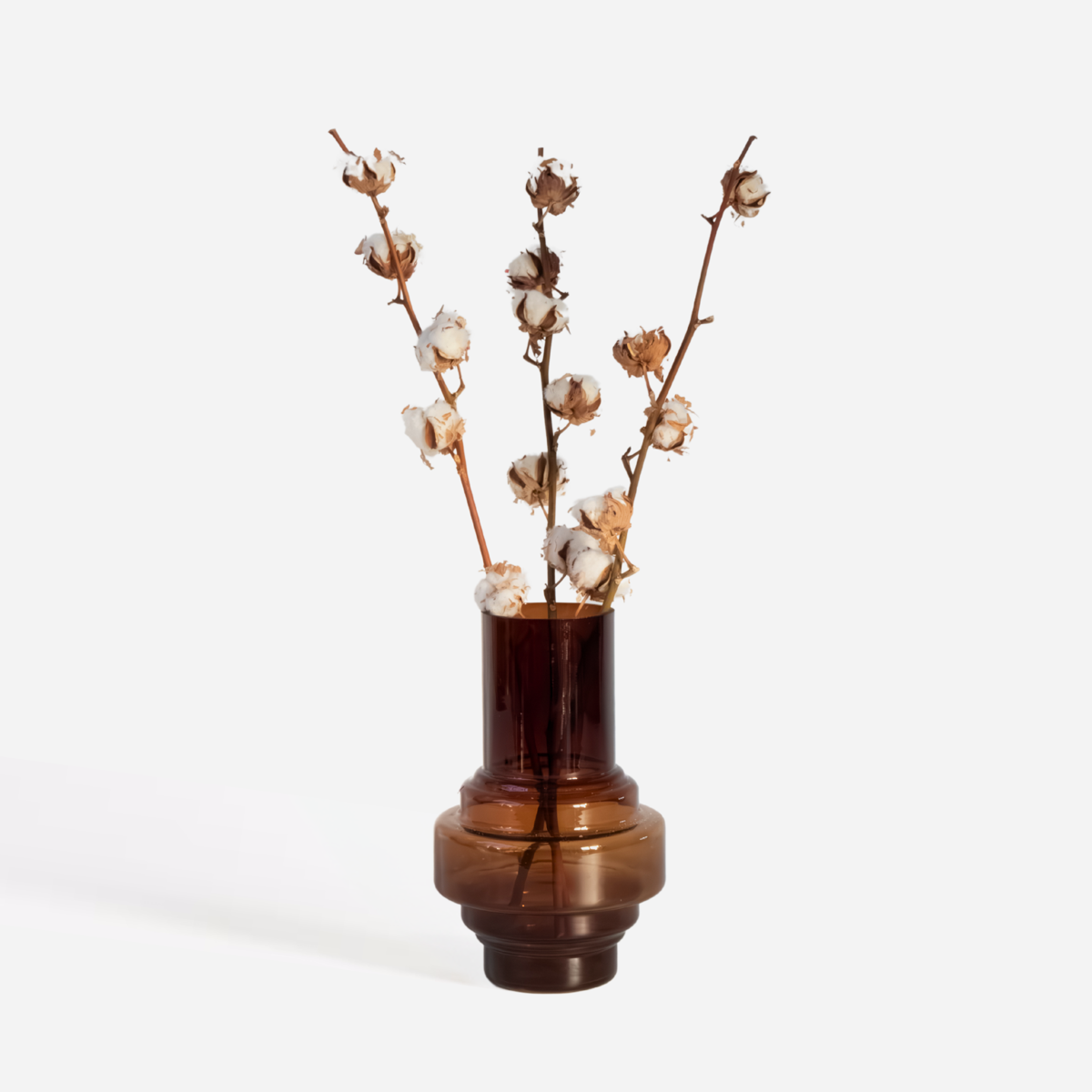 Droogbloemen - Set van 3 - Katoenstokken