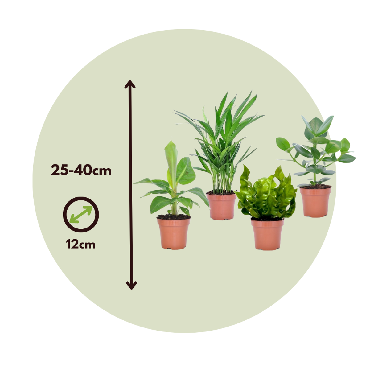 Groen Kwartet - Mix van 4