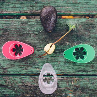 Avocado kit mini – Grow your own avocado!