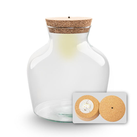 Terrarium bottle with LED-cork - Little Joe - Closed terrarium ↑ 22 cm