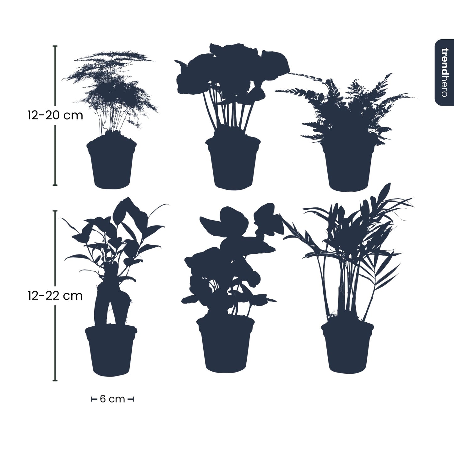 Plant set - Koop Online | Florazo