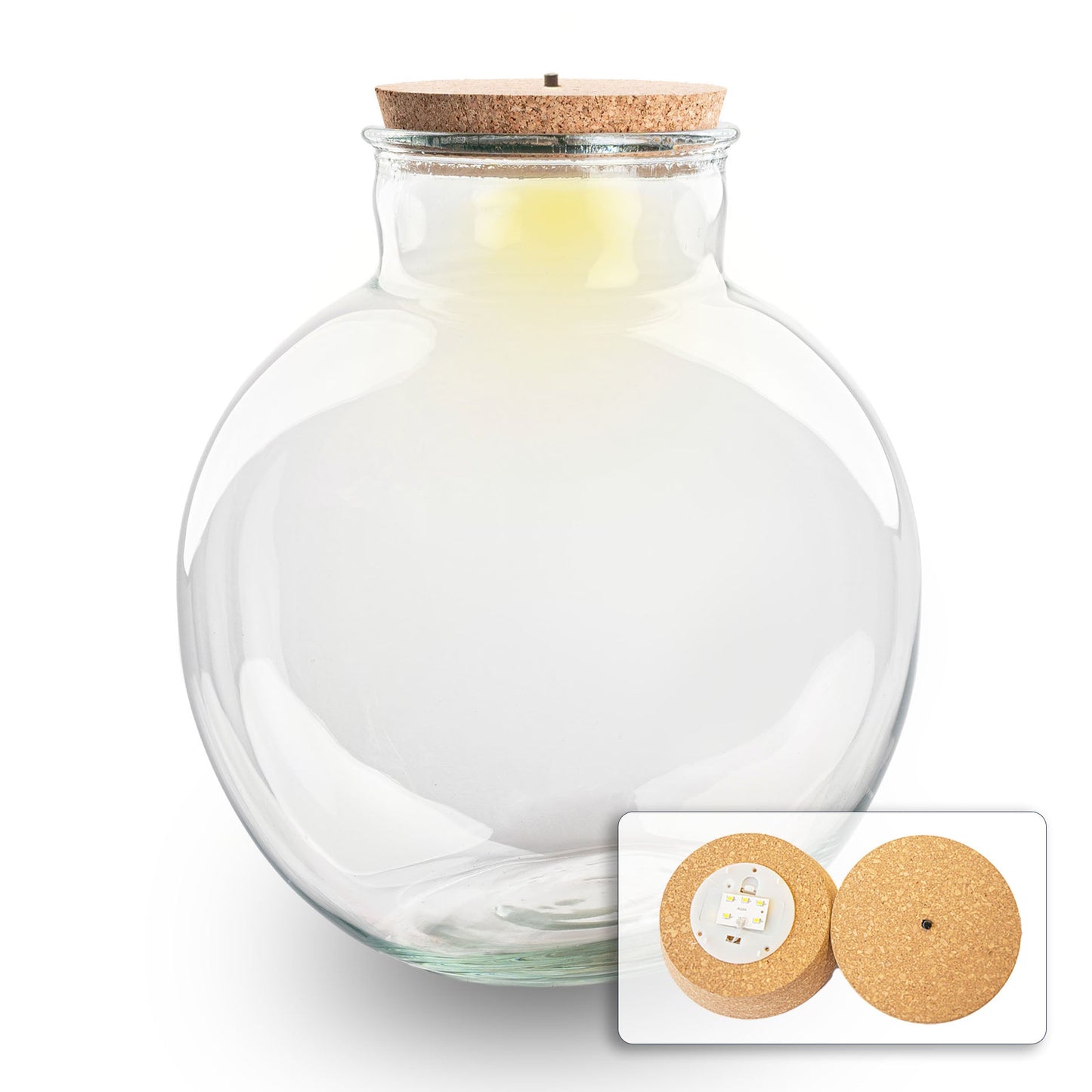 Terrarium bottle with light in cork - Bolder Bob - ↑ 30 cm