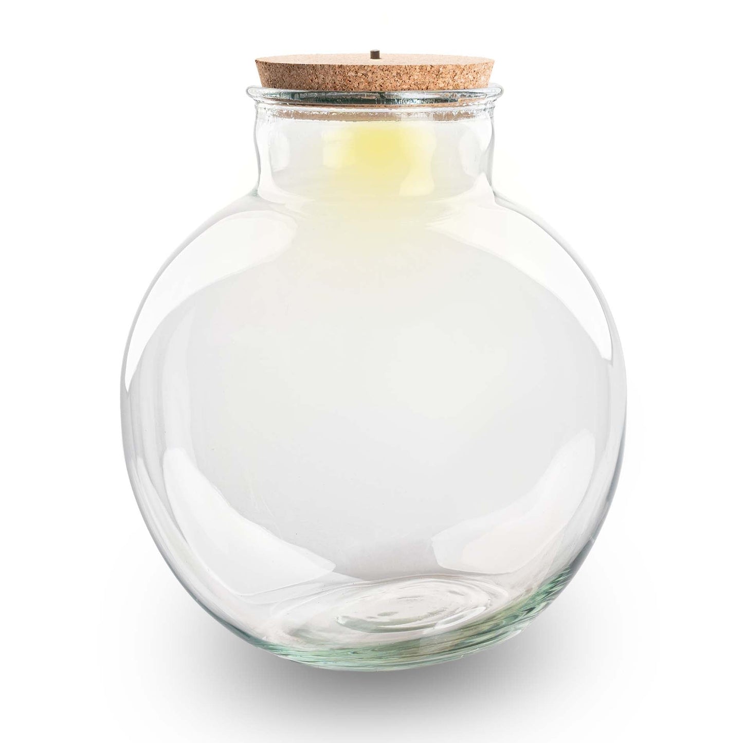 Terrarium bottle with light in cork - Bolder Bob - ↑ 30 cm