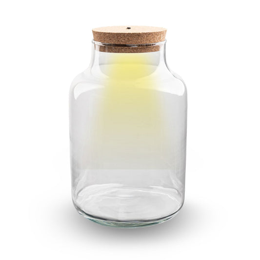 Terrarium bottle garden - Milky with led cork - Ø 21 cm ↑ 30 cm - Terrarium with cork