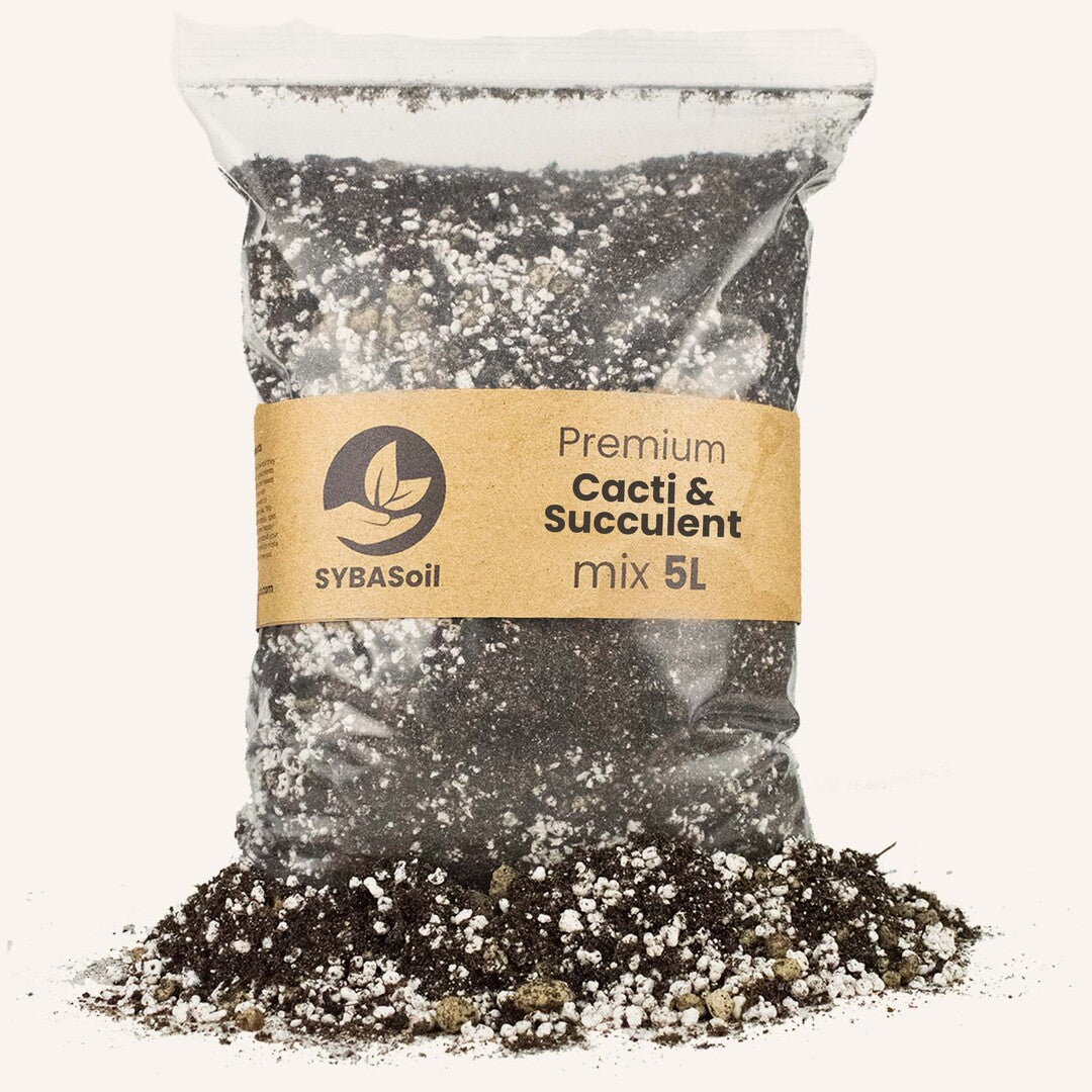 MM-SYBOT02 - 0