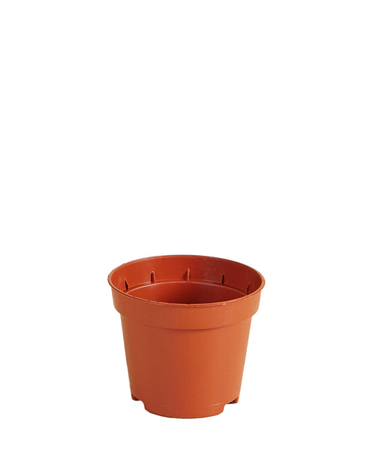 MM-MEC-0506 - 0