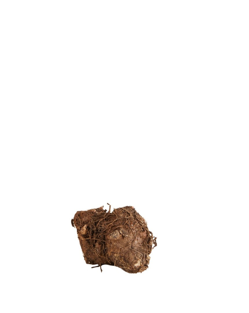 MM-MEC-0991 - 1