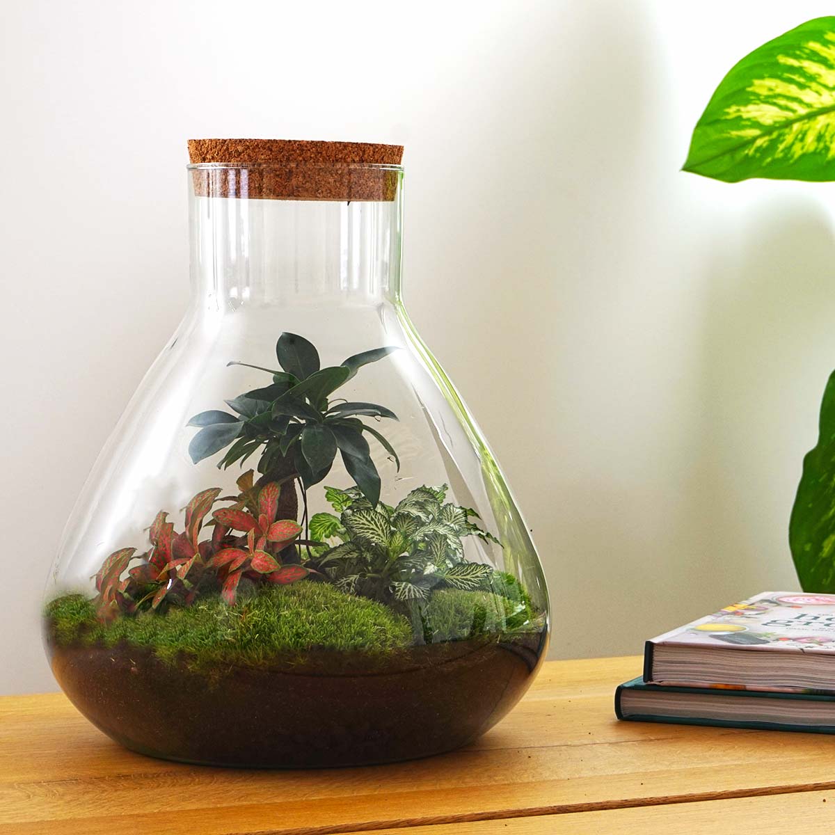 Terrarium DIY Kit - Sam XL Bonsai - Bottle Garden - ↑ 32 cm