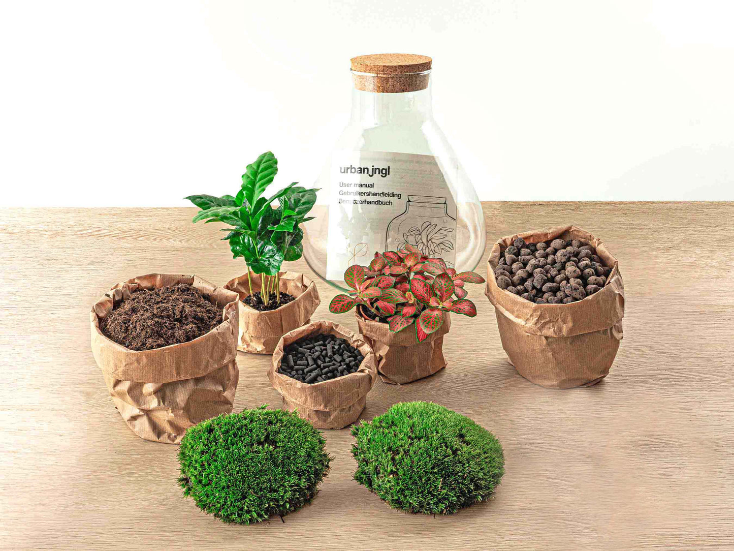 Terrarium DIY Kit - Sammie - Bottle Garden - ↑ 27 cm