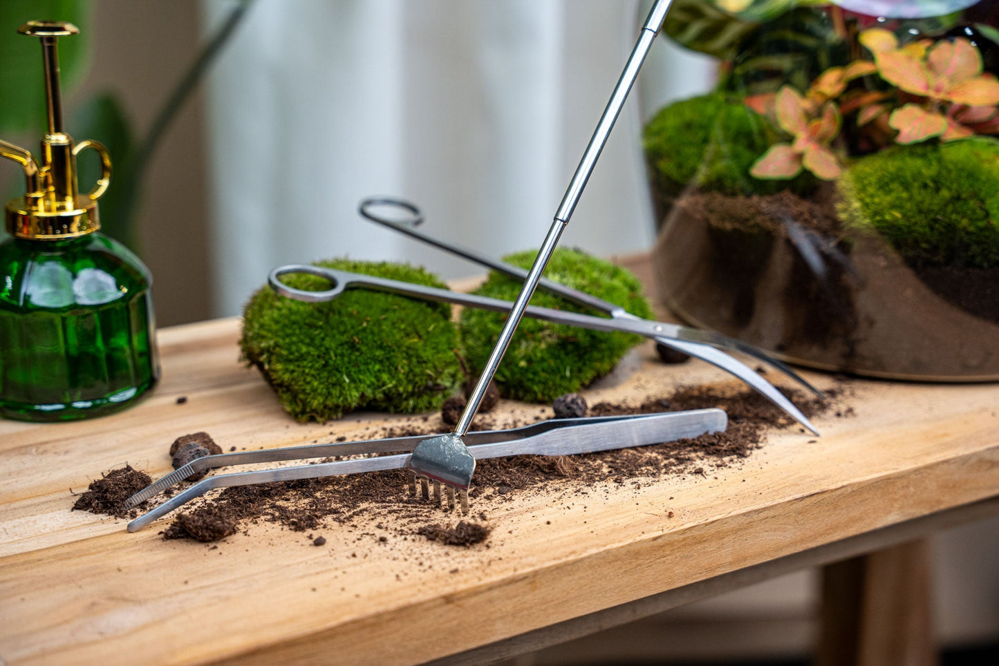 Terrarium Tools Bundle – Black Friday Deal - DIY Terrarium Online | Florazo