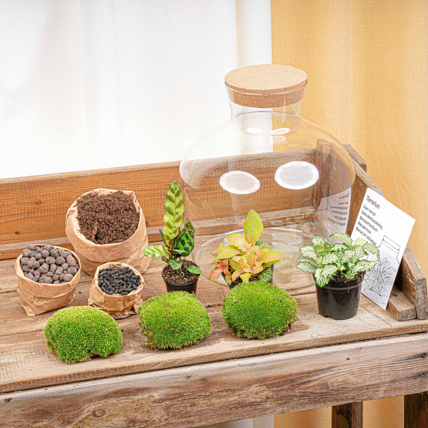 Terrarium DIY Kit - Fat Joe Red with led light - Bottle Garden - ↑ 30 cm