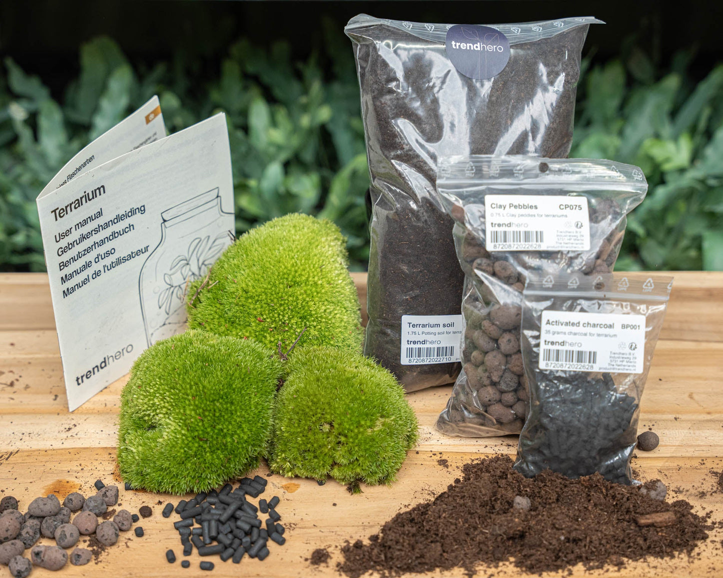 Terrarium Package – Refill & Starter Package – DIY Terrarium Kit – Size L/XL