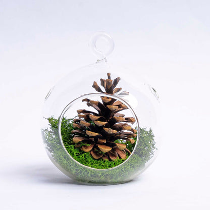 Clear glass Christmas ball ornament with pinecone and reindeer moss accents by Florazo NL.