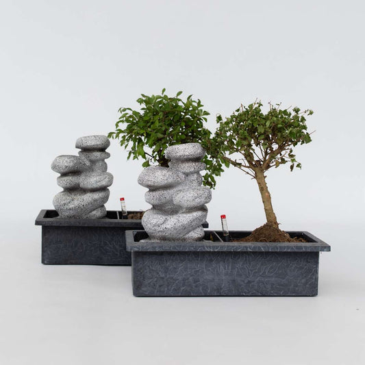 Bonsaiboom met watersysteem - 2 stuks - Zenstenen