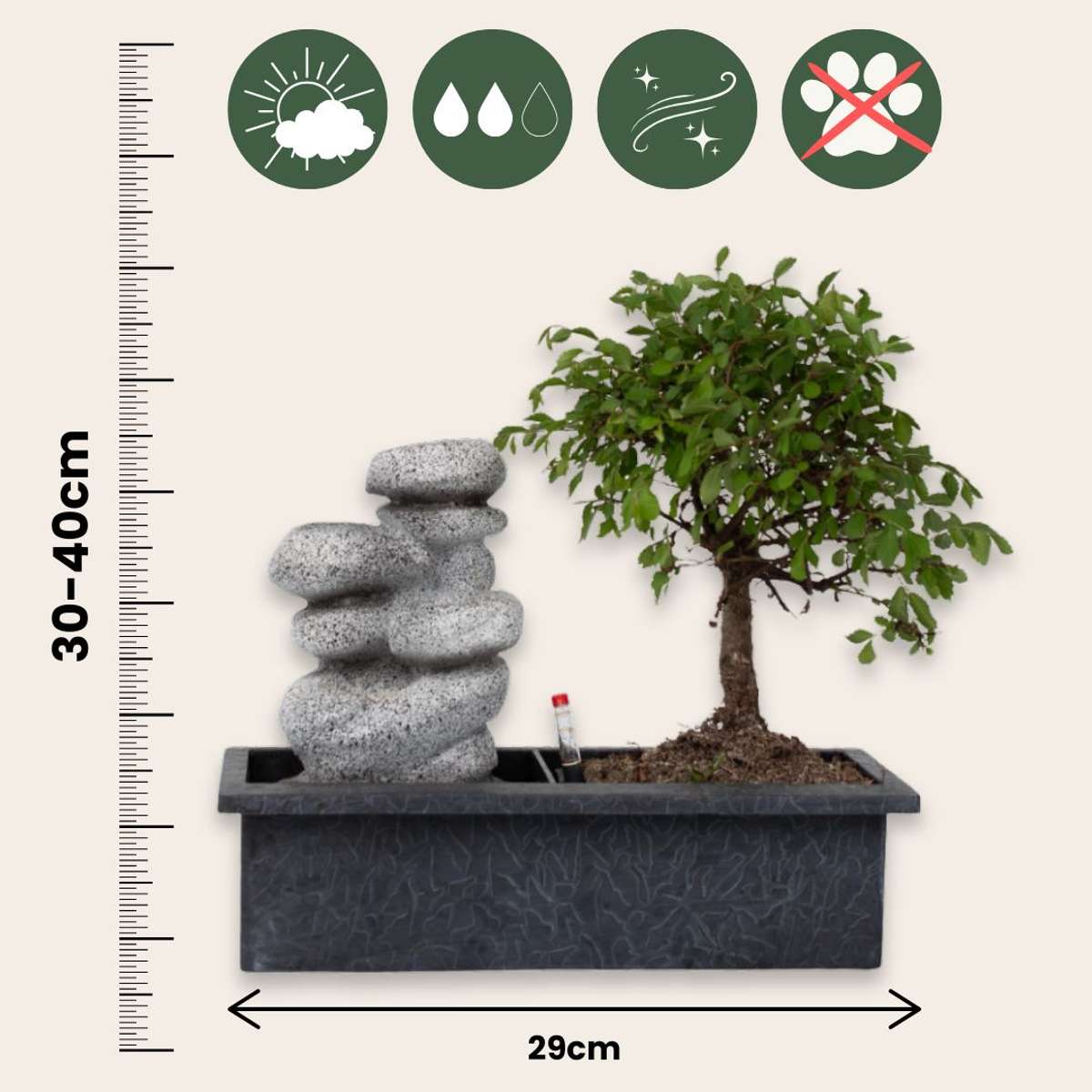 Bonsaiboom met watersysteem - 2 stuks - Zenstenen