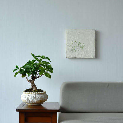 Adenium obesum - Woestijnroos