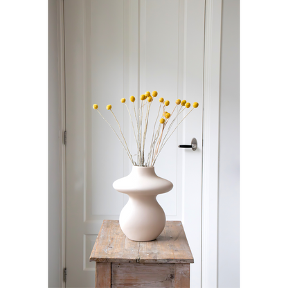 Boeket 'Craspedia natural yellow' - Droogbloemen