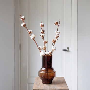 Droogbloemen - Set van 3 - Katoenstokken