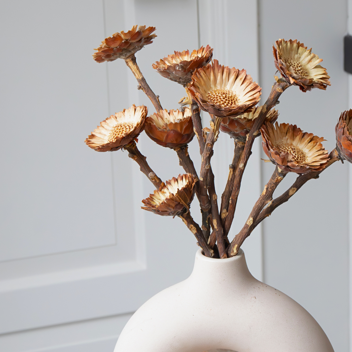 Boeket 'Protea Compacta' - 10 stuks - Droogbloemen