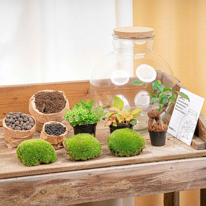 DIY Terrarium Kit by Florazo NL featuring glass container, bonsai plants, soil, and decorative elements for creating a mini indoor garden.