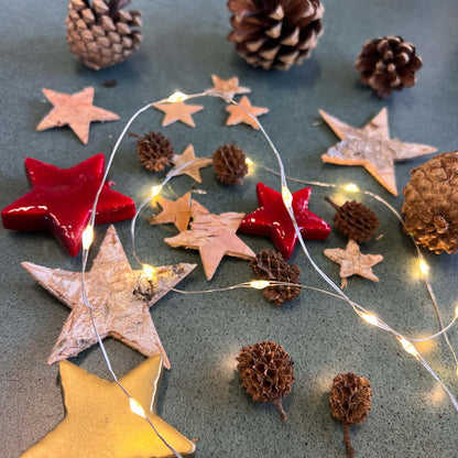 Florazo NL Christmas terrarium decoration kit with festive ornaments, mini plants, and decorative accents for holiday display.
