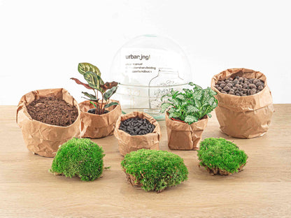 DIY terrarium kit by Florazo NL featuring a clear dome with plants for creating a miniature indoor garden.