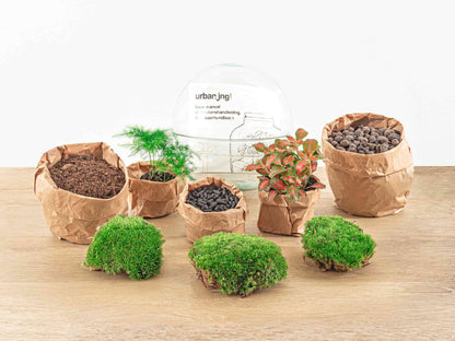 Red dome-shaped DIY terrarium kit by Florazo NL with glass container and gardening supplies for creating miniature indoor gardens.