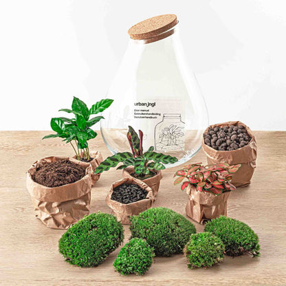 Red glass terrarium DIY kit from Florazo NL featuring a small ecosystem with plants and decorative elements inside a transparent container.