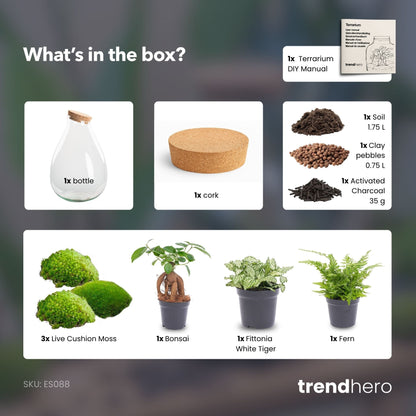 Drop XL Green - Terrarium with cork - Bottle garden DIY kit – Ø 24 cm ↑ 37 cm