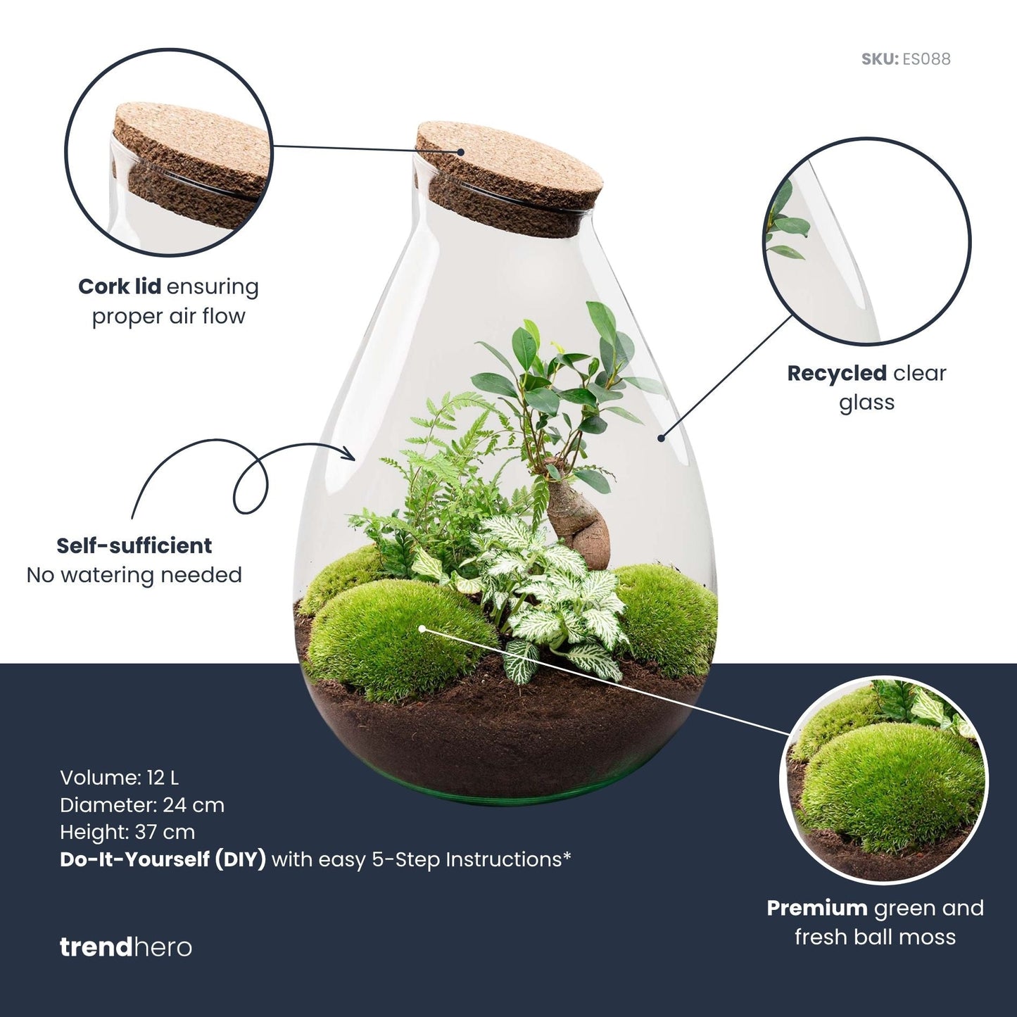 Drop XL Green - Terrarium with cork - Bottle garden DIY kit – Ø 24 cm ↑ 37 cm