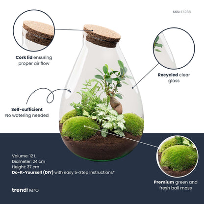 Drop XL Green - Terrarium with cork - Bottle garden DIY kit – Ø 24 cm ↑ 37 cm