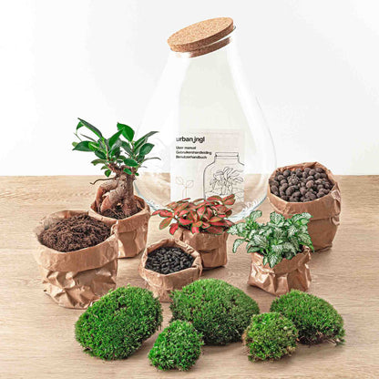 DIY terrarium kit by Florazo NL featuring a drop-bonsai eco-style plant terrarium with natural elements and glass container.