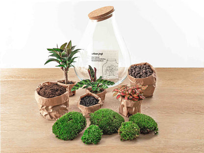 Drop palm DIY terrarium by Florazo NL featuring lush greenery and decorative elements in a clear glass container.