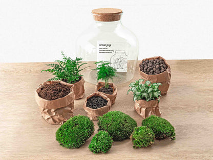 Terrarium DIY Kit - Fat Joe Green + led light - Bottle Garden - ↑ 30 cm | Florazo