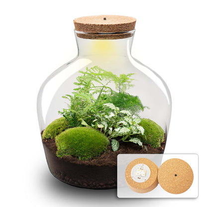 Terrarium DIY Kit - Fat Joe Green + led light - Bottle Garden - ↑ 30 cm | Florazo
