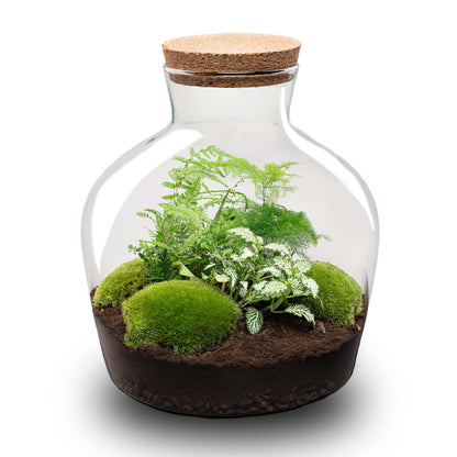 Terrarium DIY Kit - Fat Joe Green + led light - Bottle Garden - ↑ 30 cm | Florazo