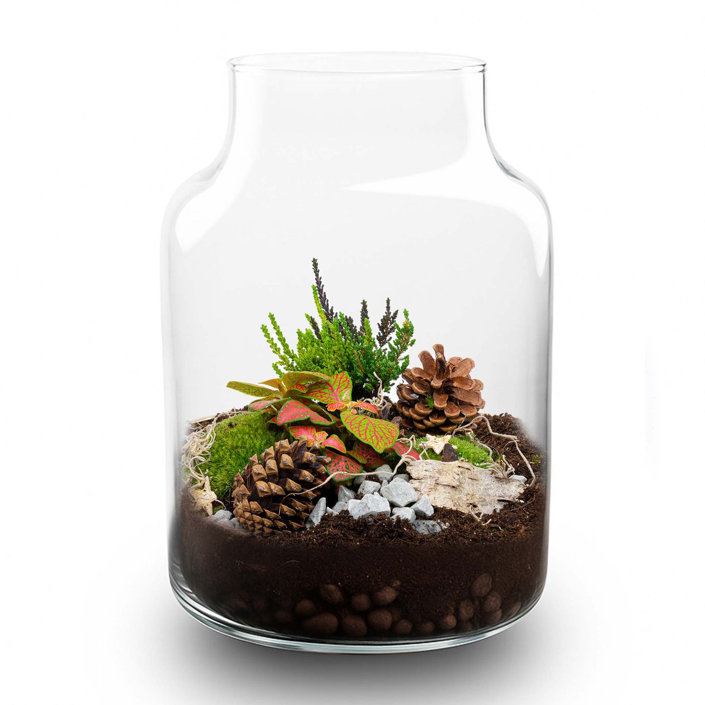 Frost Winter terrarium - Bottle garden DIY kit - Ø 17 cm ↑ 25 cm