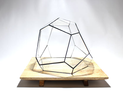 Geometric Terrarium - Torno - Vivarium - ↑ 28 x 26 x 24 cm (LxWxH) - Glass