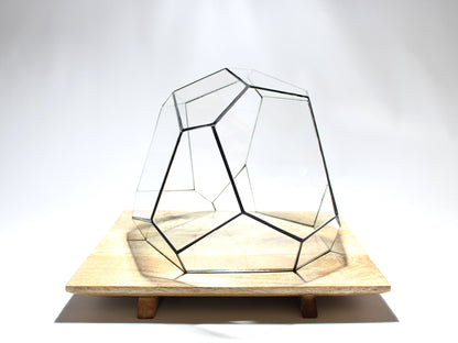 Geometric Terrarium - Torno - Vivarium - ↑ 28 x 26 x 24 cm (LxWxH) - Glass
