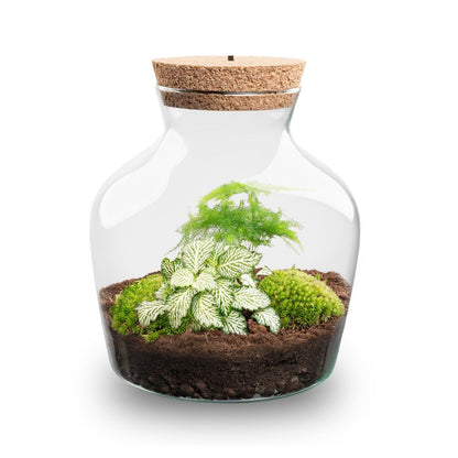 DIY terrarium kit with LED lighting from Florazo NL, shown in a glass jar with plants and built-in LED lights.