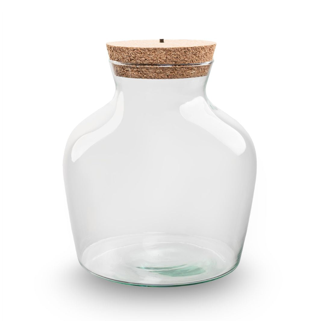Terrarium bottle with LED-cork - Little Joe - Closed terrarium ↑ 22 cm