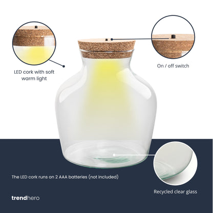 Florazo NL DIY terrarium kit with LED lighting, featuring a small glass container, plants, and decorative elements for DIY assembly.