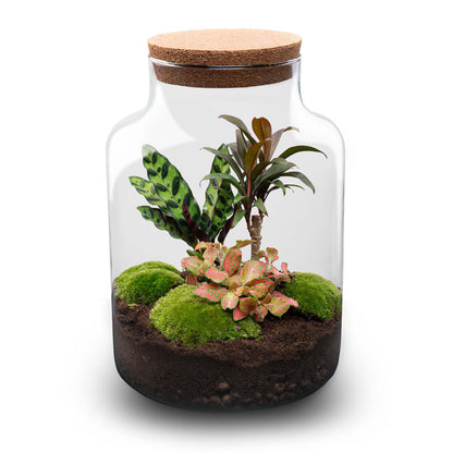Milky Palm terrarium DIY kit by Florazo NL, featuring a bottle garden with lush green plants inside a 30 cm glass container.