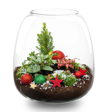Rudolph Christmas terrarium - Bottle garden DIY kit - Ø 23 cm ↑ 25 cm