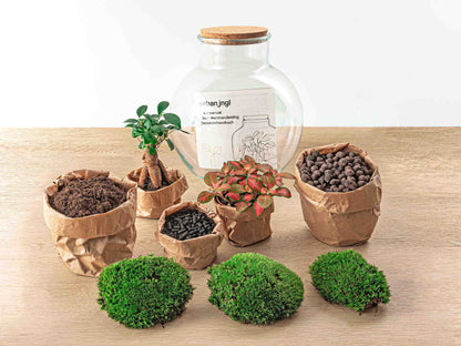 Small DIY terrarium kit by Florazo NL featuring a teddy bonsai plant, glass container, and decorative soil for creating miniature gardens.