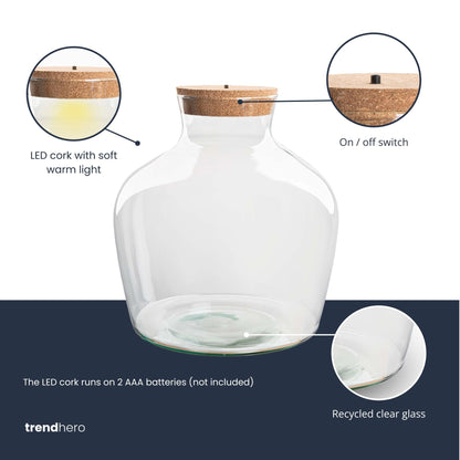 Glass terrarium bottle with cork lid, showcasing a mini indoor garden with lush plants in a stylish Florazo NL DIY terrarium.