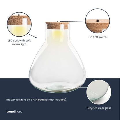 Glass terrarium bottle with cork lid, showcasing a DIY Florazo NL terrarium for indoor plant displays.